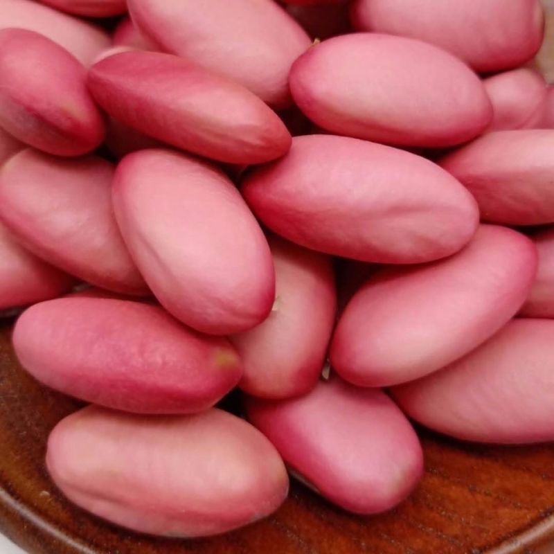 中药材大刀豆刀豆子魔豆多规格红刀豆
