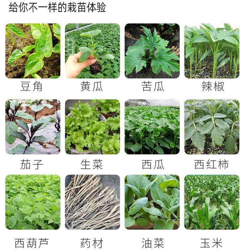 不锈钢玉米移苗器栽苗神器栽苗器打孔器移苗铲蔬菜移栽器打