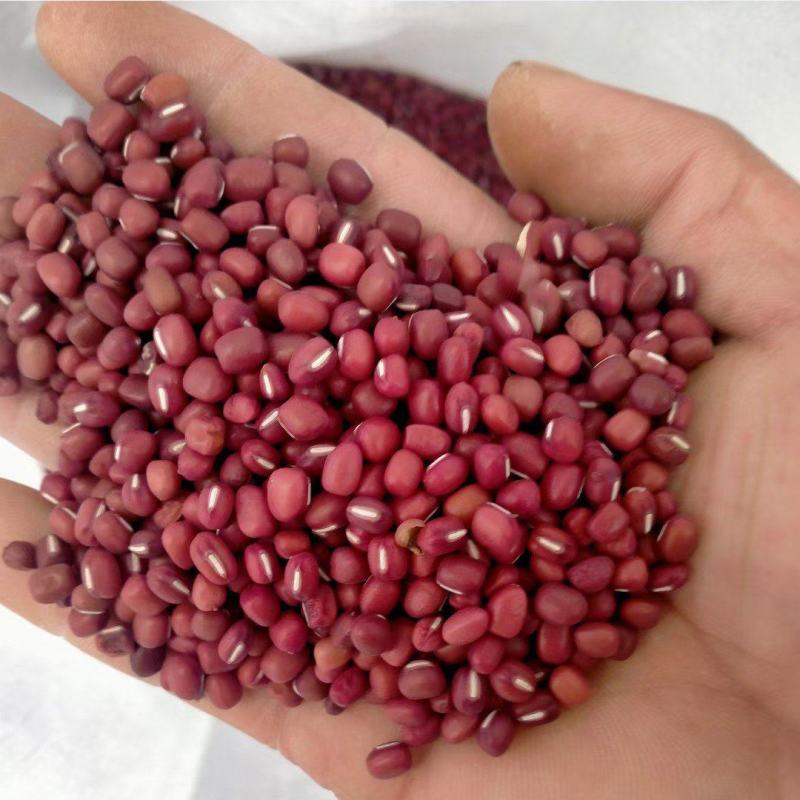 农家自产新红小豆、红豆：皮薄肉多易煮、软糯、出沙多！
