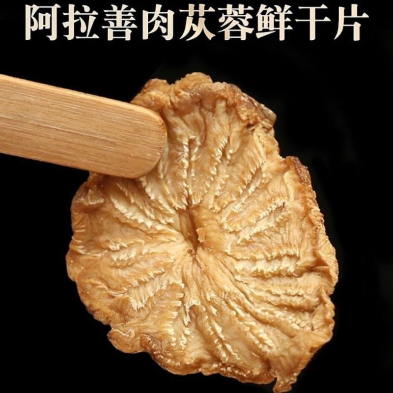 内蒙阿拉善秋冬季肉苁蓉片