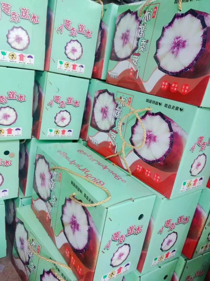 冰激凌萝卜，山东水果萝卜，大量效果质量保障，全国各地供应
