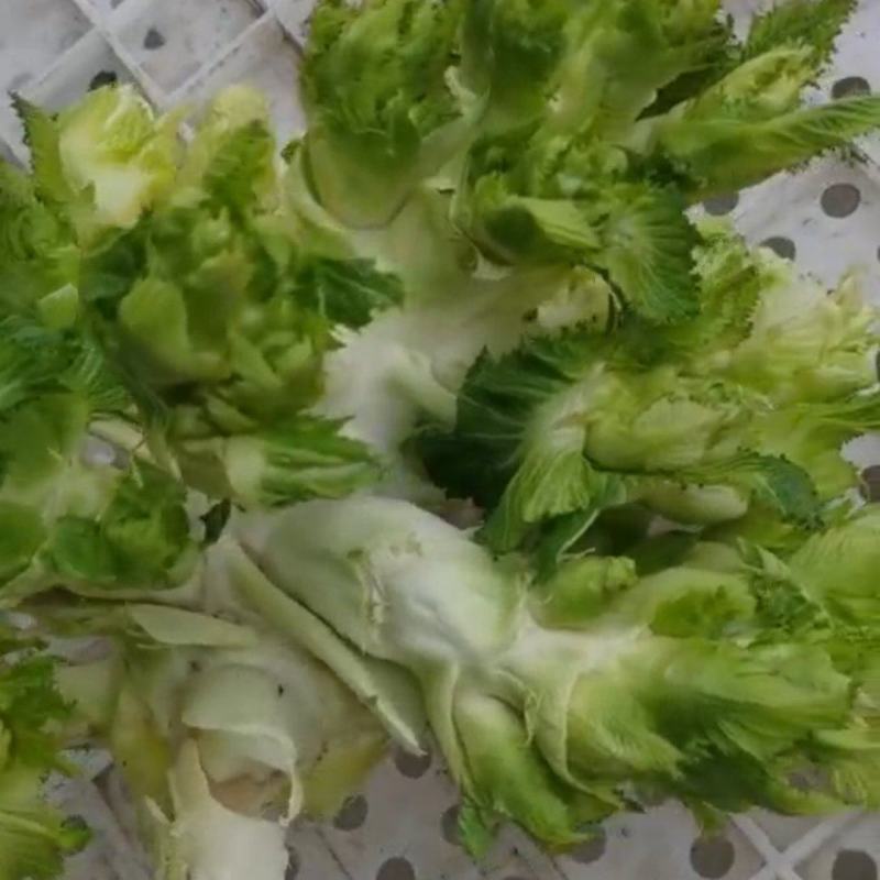 河南省周口市扶沟县吕潭乡精品儿菜