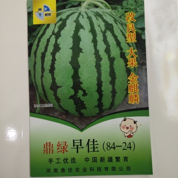 鼎绿早佳8424西瓜种子大果改良品种金麒麟西瓜种子含糖量