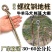加粗拴牛羊橛子铁地钉拴狗地桩畜牧养殖帐篷地钉羊地桩栓牛地