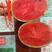 L一600礼品西瓜种子早熟坐果整齐瓜重5斤甜度14.7