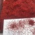 批发直供藏红花西红花长花丝整丝番红花