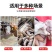 兽用连续注射器可调节半自动连续注射器猪牛羊用疫苗注射针筒
