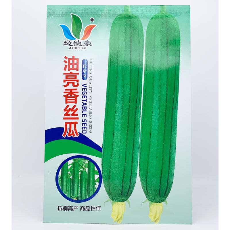 油亮香丝瓜短棒油皮丝瓜种子耐热早熟20-25厘米香丝瓜种