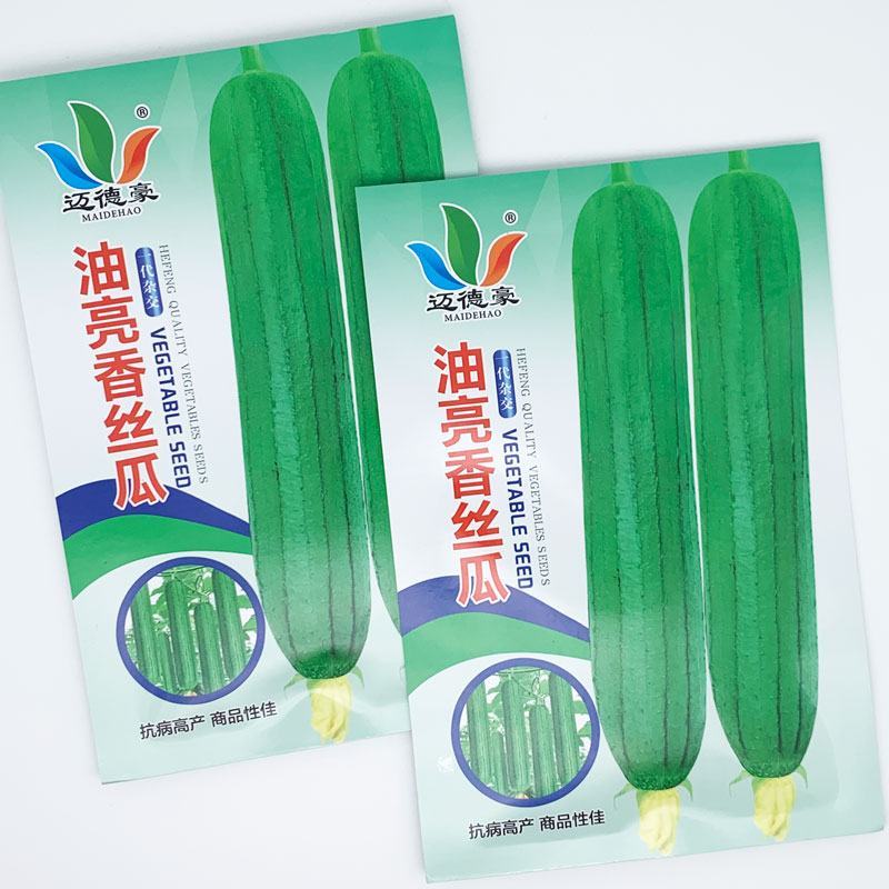 油亮香丝瓜短棒油皮丝瓜种子耐热早熟20-25厘米香丝瓜种