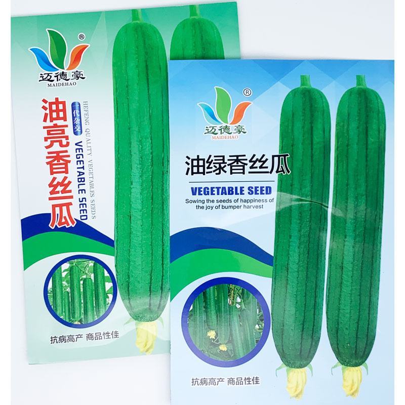 油亮香丝瓜短棒油皮丝瓜种子耐热早熟20-25厘米香丝瓜种