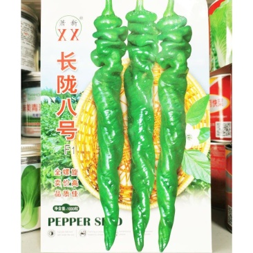 萧新长陇八号早熟高产全螺旋香辣螺丝椒种子原装1000粒
