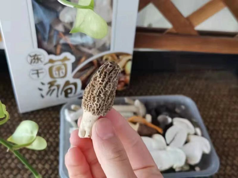 高端菌汤包，冻干技术，原色原味，冻干菌菇汤