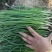 【推荐】东北内蒙甘肃优质洋葱苗包技术指导