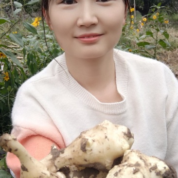 洋姜