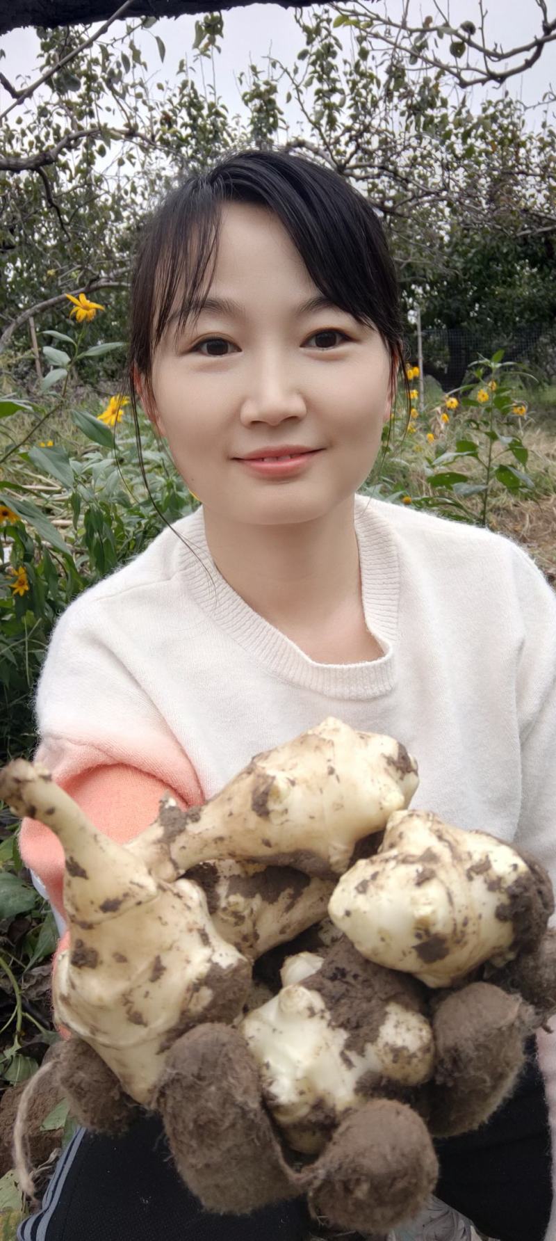 洋姜