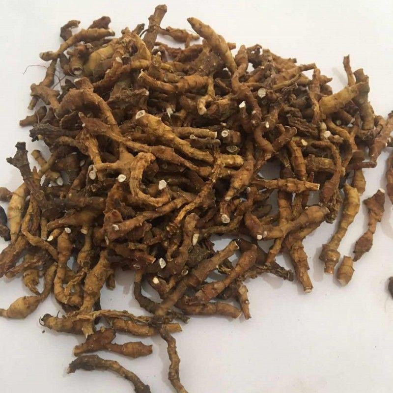 九节菖蒲产地陕西好统货永盛药业品种齐全质量好价格低