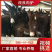 肉驴德州驴关中驴乌头驴驹三粉驴德州驴驹买十送一