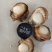 精品港湾贝小红贝一手货源产地直供欢迎各位老板前来咨询