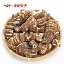 重楼七叶一枝花好统个产地云南永盛药业品种齐全质量好价格