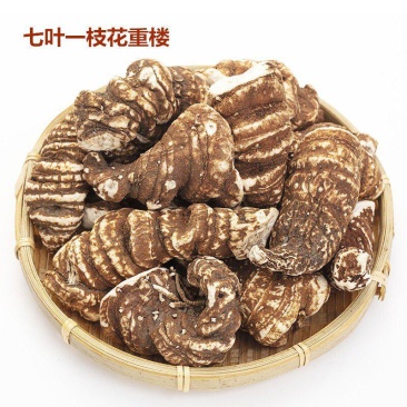 重楼七叶一枝花好统个产地云南永盛药业品种齐全质量好价格