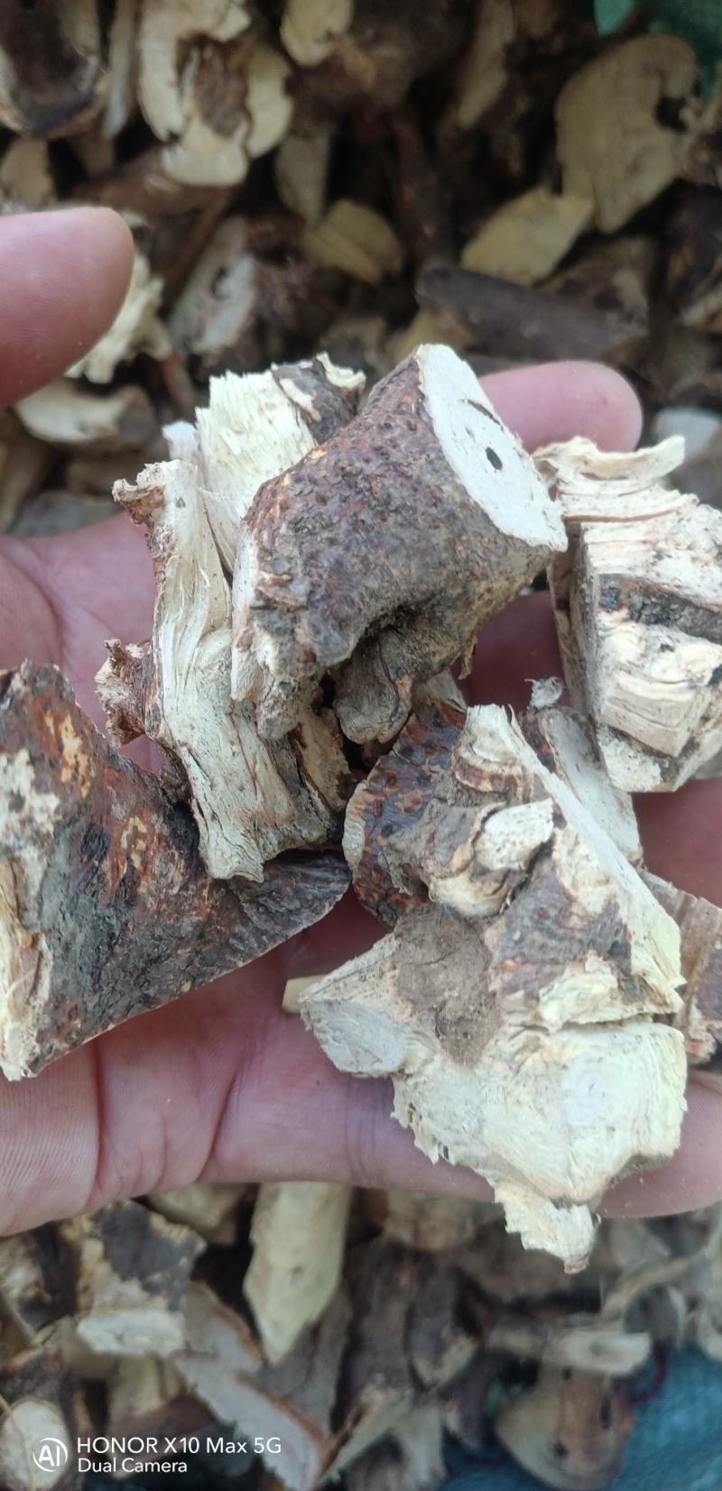 纯野生五指毛桃头手工切块；头粒。头片，足干！无硫！有椰香