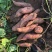 【热卖】龙薯品质佳，个头大，货源充足，全国发货