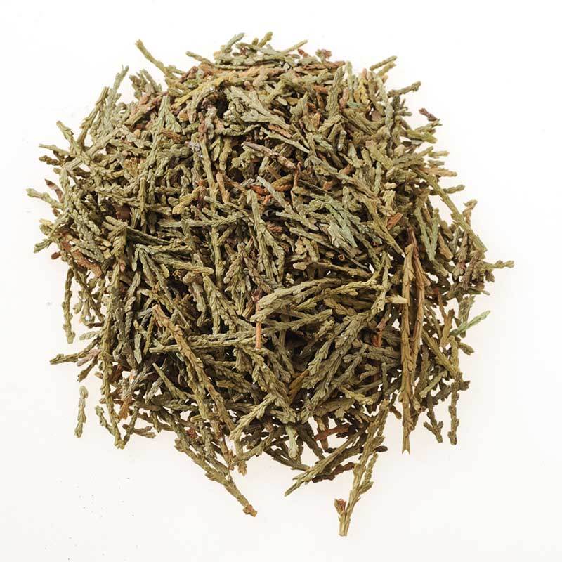 侧柏叶好统货产地山东永盛药业品种齐全质量好价格低