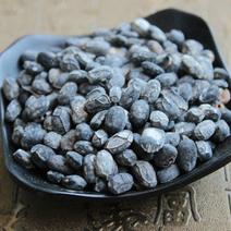 淡豆豉统货产地四川永盛药业品种齐全质量好价格低