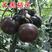 大紫黑柿子种孑黑番茄种子紫黑色中早熟抗病抗裂产量高农家果
