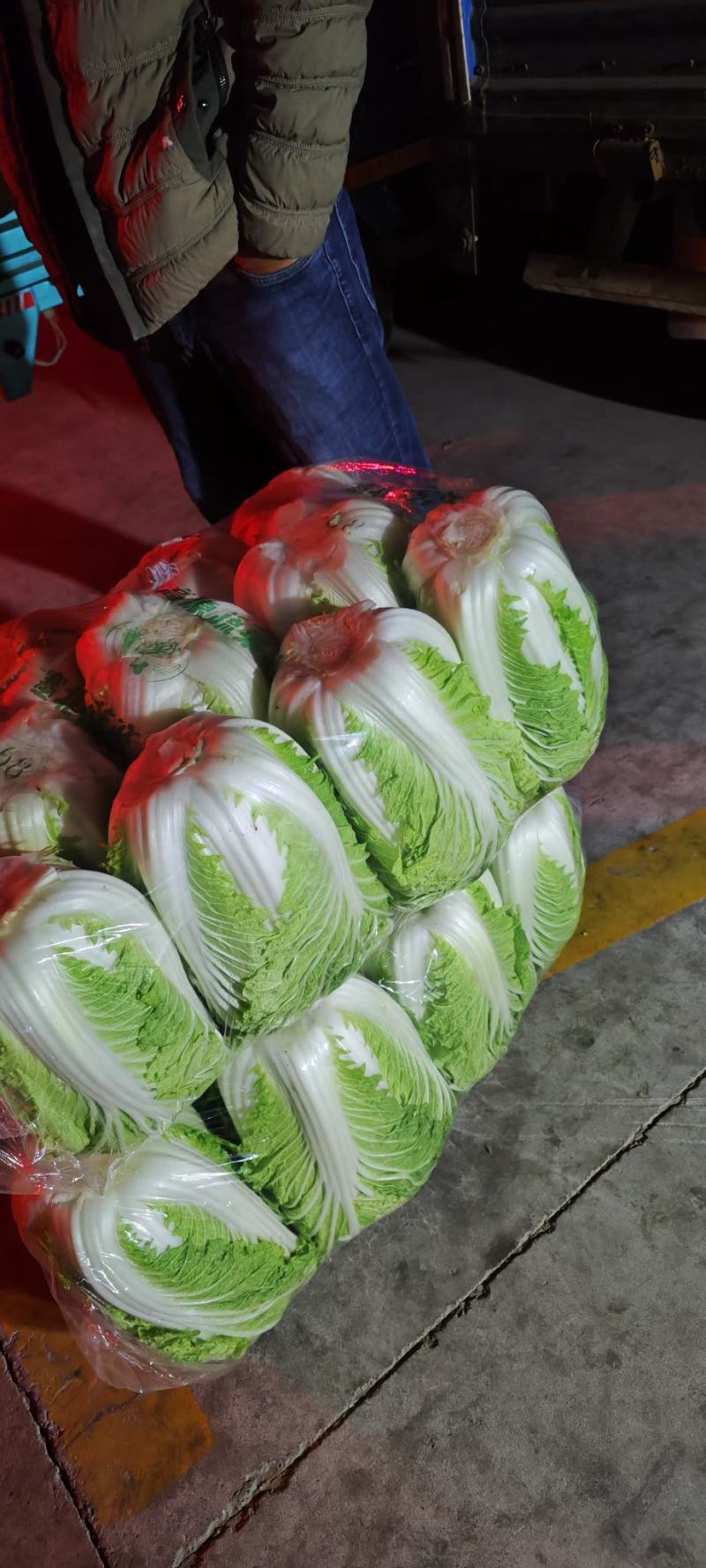 夏邑县青杂三大白菜大量热卖中，基地直销，有要的连系我