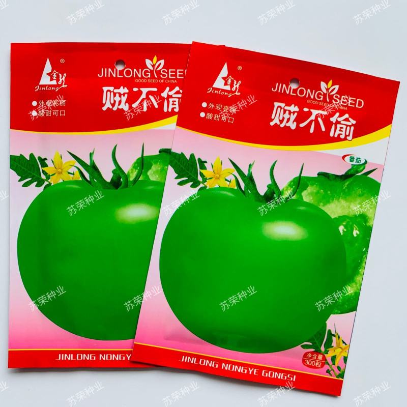 贼不偷番茄种子东北绿番茄种籽正宗绿柿子籽青西红柿种籽沙瓤