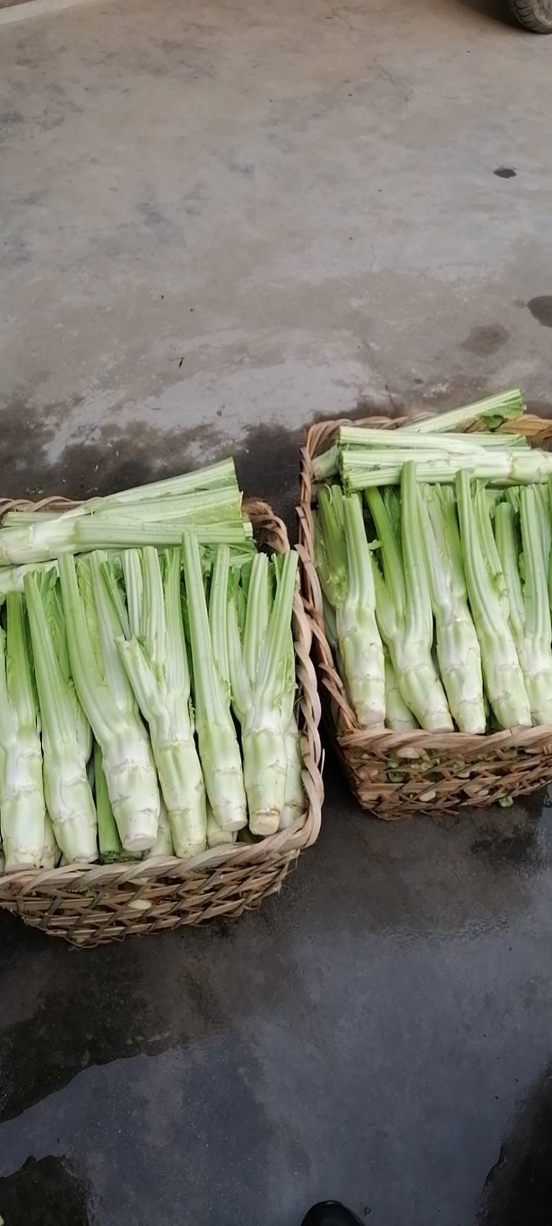 四川省广汉市精品棒菜