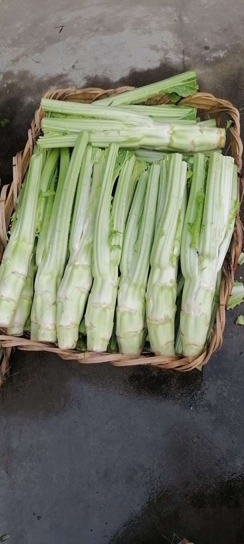 四川省广汉市精品棒菜