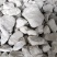 厂家大量供应石灰石生石灰石灰粉氧化钙氢氧化钙