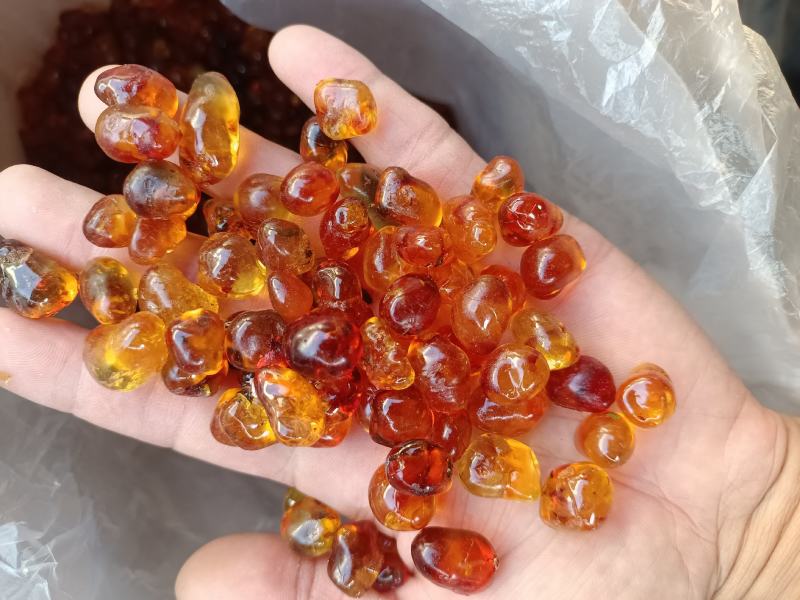 产地一手桃胶批发