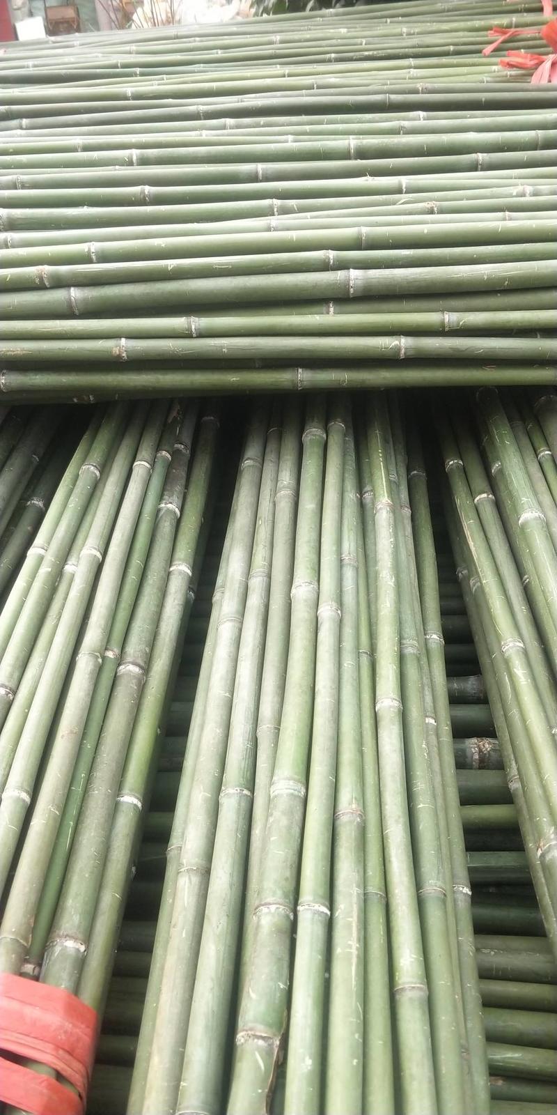 小竹竿菜架竹，豆角架，多种规格，铁竹，高山生产，节短