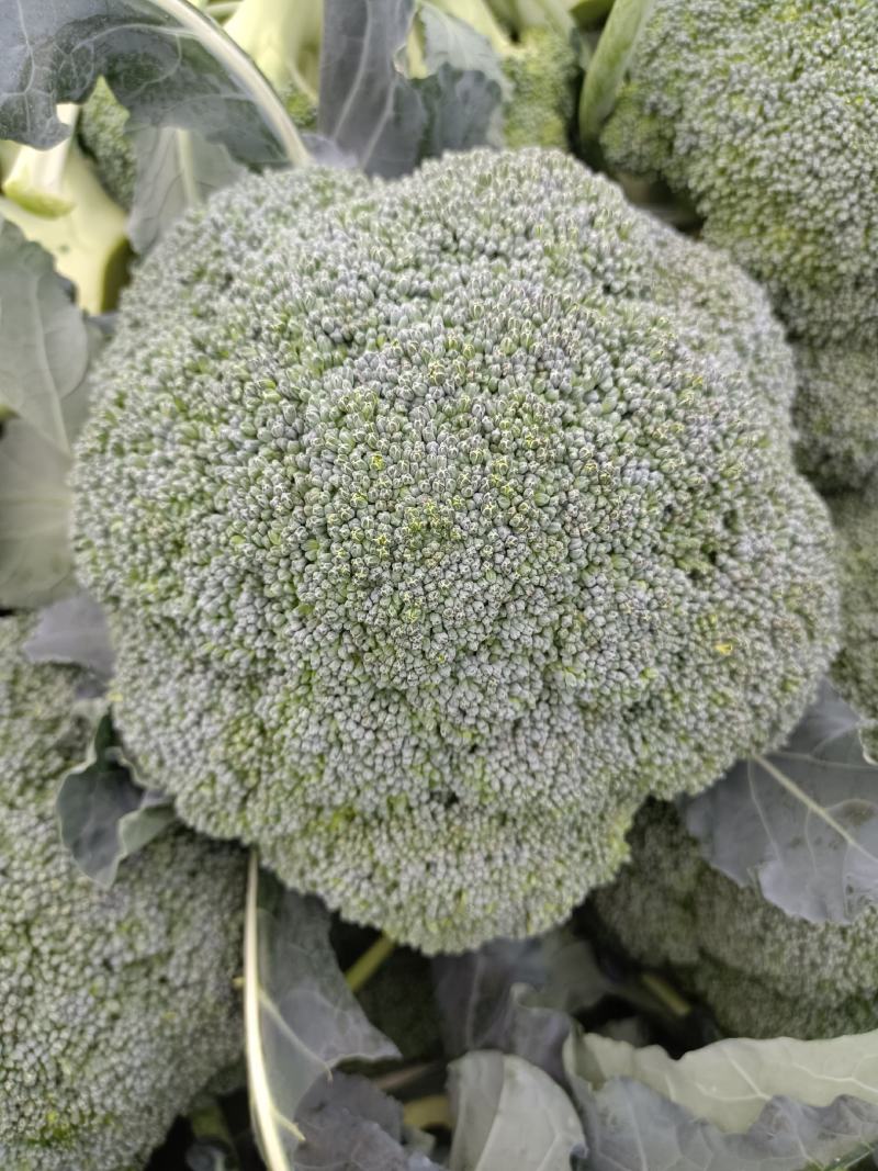 西兰花