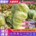 商丘白菜精品夏阳白菜产地直供，品质保证，欢迎来电。