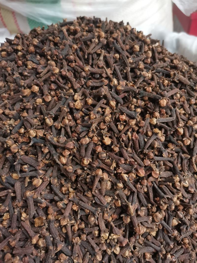 丁香（公丁香）