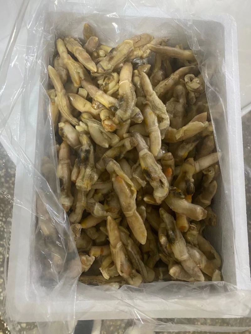 蛏子肉开嘴不开嘴海蛏无沙干冰带冰衣都有货