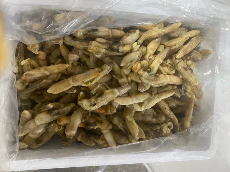蛏子肉开嘴不开嘴海蛏无沙干冰带冰衣都有货