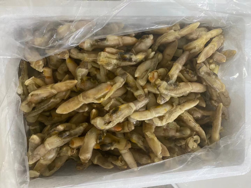 蛏子肉开嘴不开嘴海蛏无沙干冰带冰衣都有货