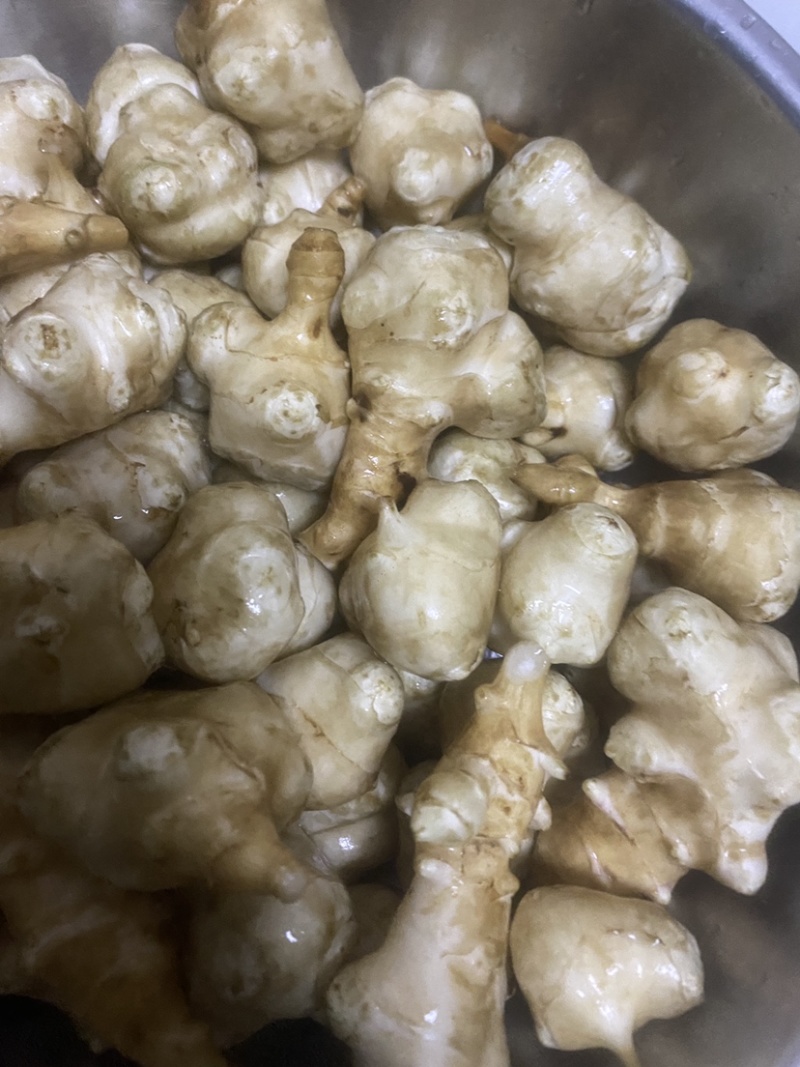 洋姜菊芋鬼子姜姜不辣山东千亩种植基地