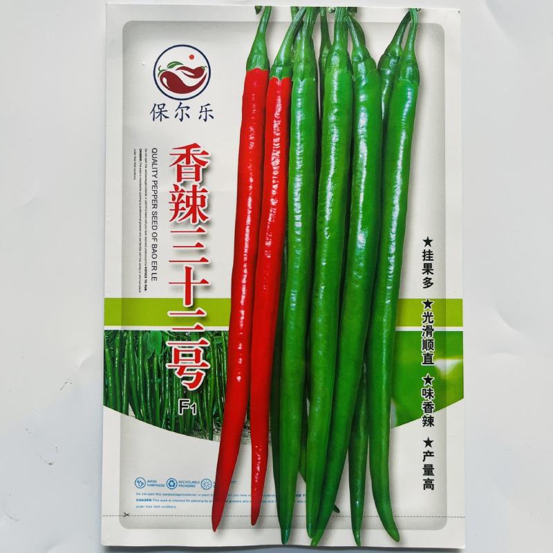 美人椒大果404杂交品种中熟品种种子