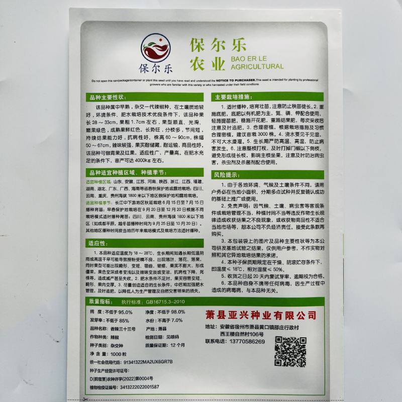 美人椒大果404杂交品种中熟品种种子