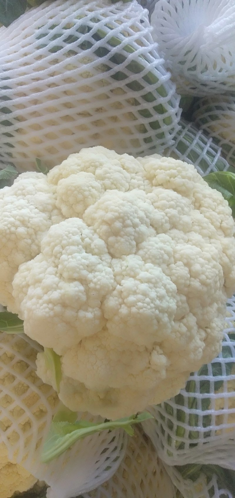 花菜，鲜菜，净菜，散花，乳白色，青梗，小米粒，个头均匀。