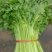 精品芹菜，价格便宜，保质保量