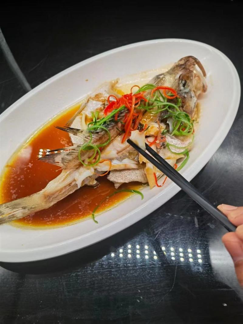红鳍斑鱼（蒜瓣肉质，活鱼品质）