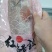 红鳍斑鱼（蒜瓣肉质，活鱼品质）