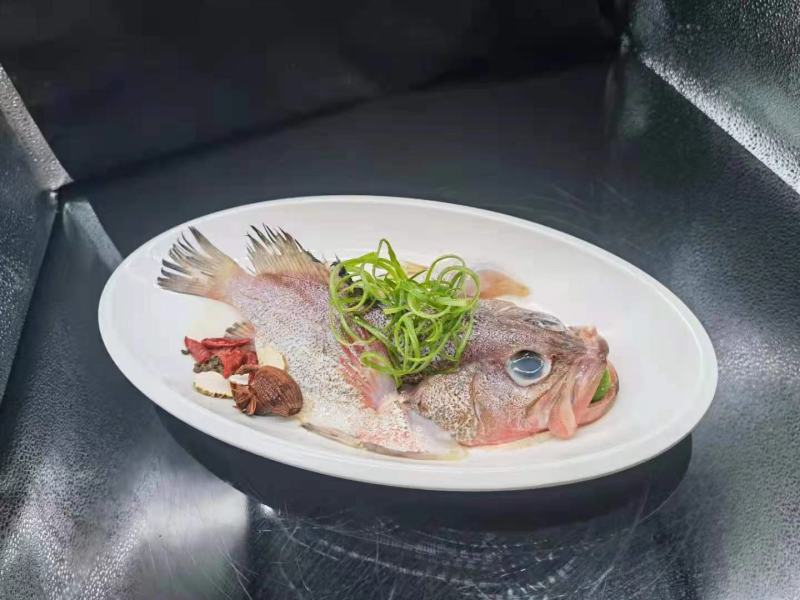 红鳍斑鱼（蒜瓣肉质，活鱼品质）